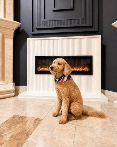 pets with fireplace 